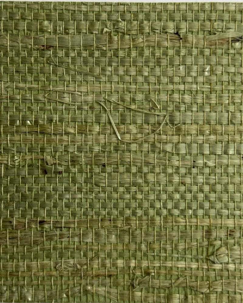 Arrowroot Wallpaper 17051 Verdant - Nāturae - Australia's Finest Natural Wallcoverings