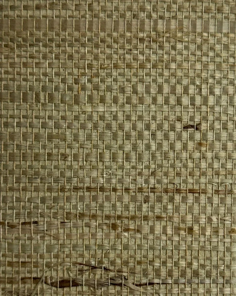 Arrowroot Wallpaper 17055 Whiting Green