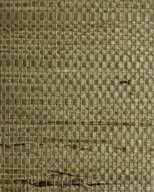 Arrowroot Wallpaper 17055 Whiting Green