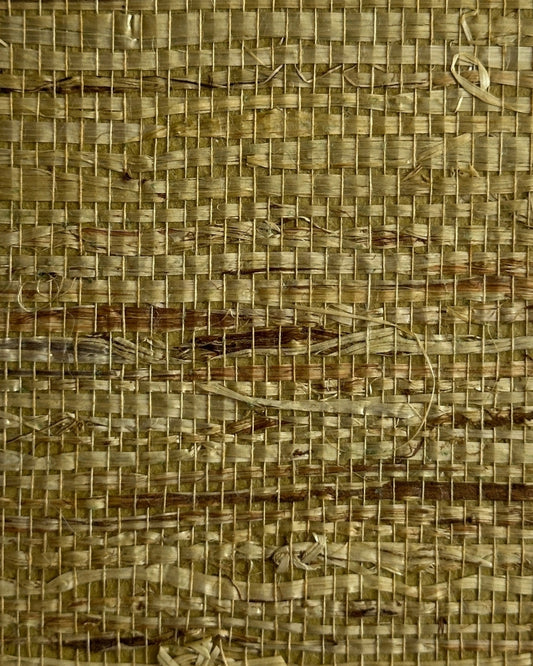 Arrowroot Wallpaper 17056 Leek
