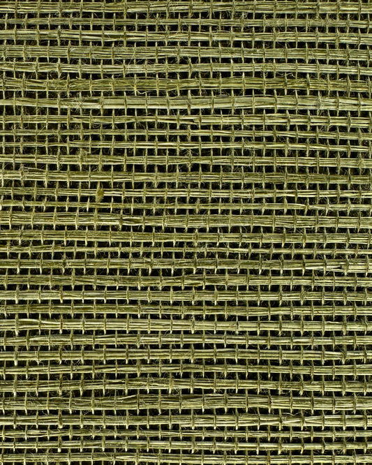 Sisal Grasscloth 1033 Mosstone