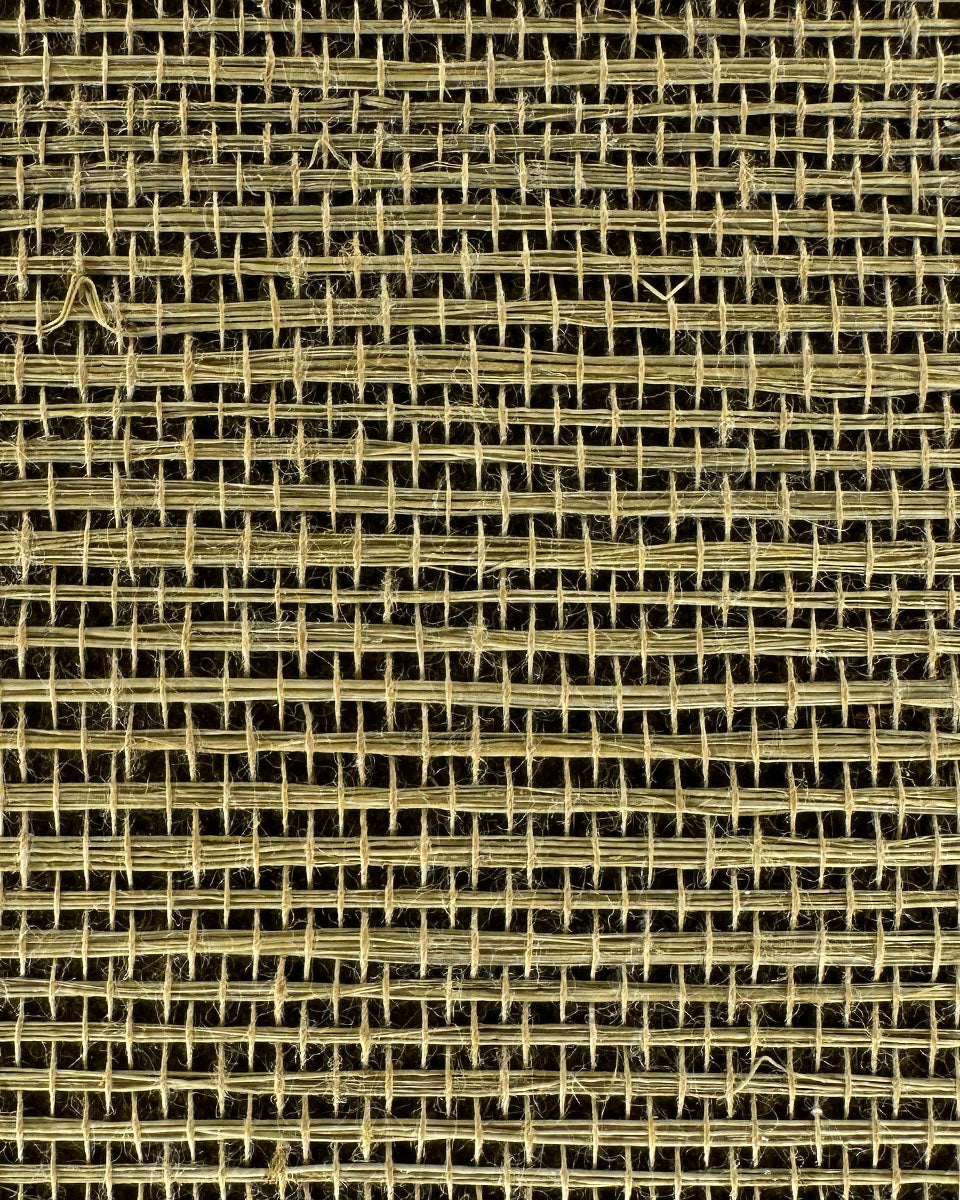 Sisal Grasscloth 1084 Ecru Olive