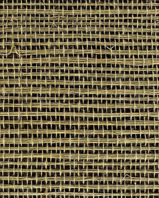 Sisal Grasscloth 1084 Ecru Olive