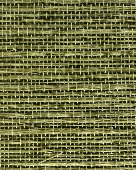 Sisal Grasscloth 1176 Sage