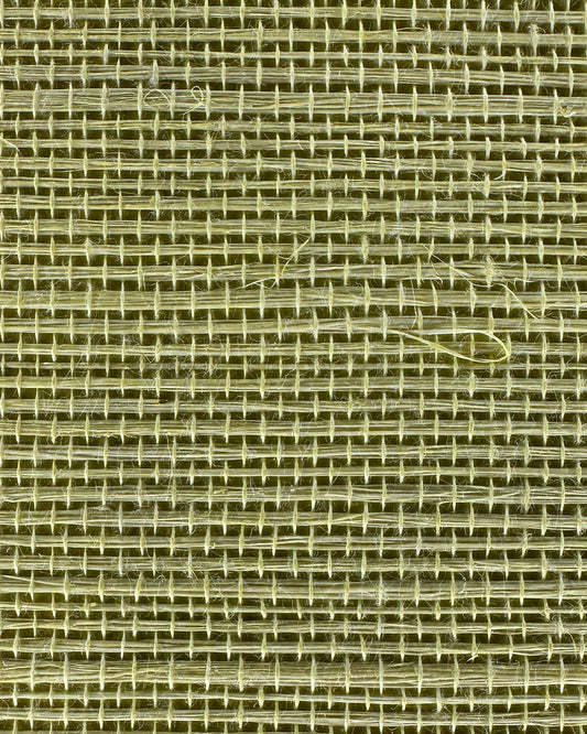 Sisal Grasscloth 1193 Cream Gold