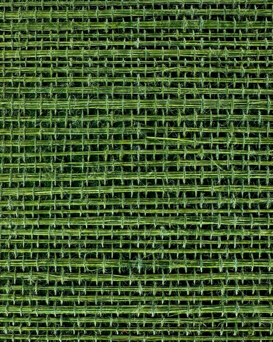 Sisal Grasscloth 7007 Treetop