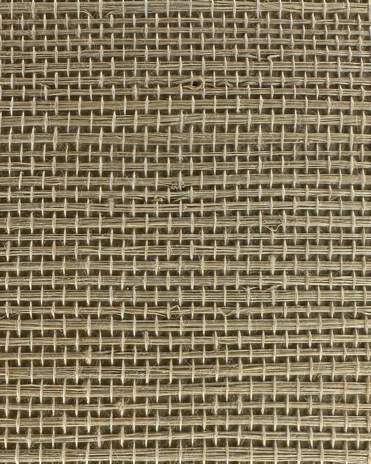 Sisal Grasscloth 1070 Marzipan