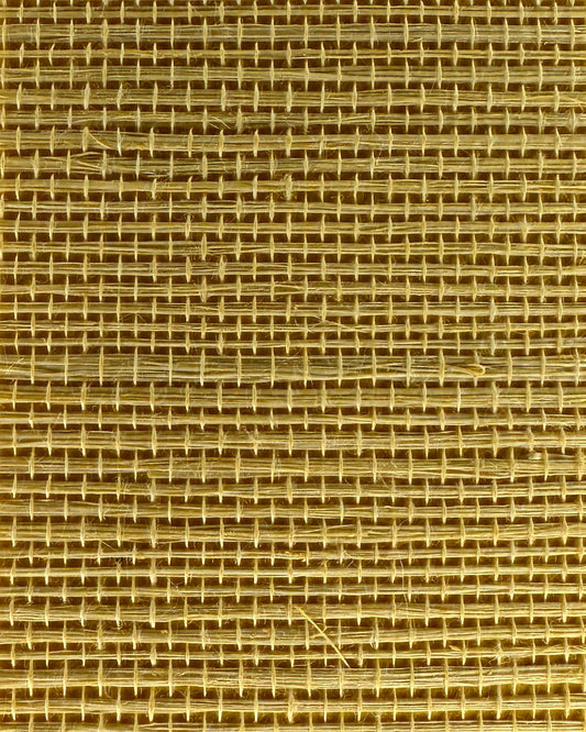 Sisal Grasscloth 1121 Banana Cream
