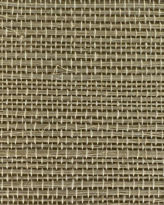 Sisal Grasscloth 1191 Boulder