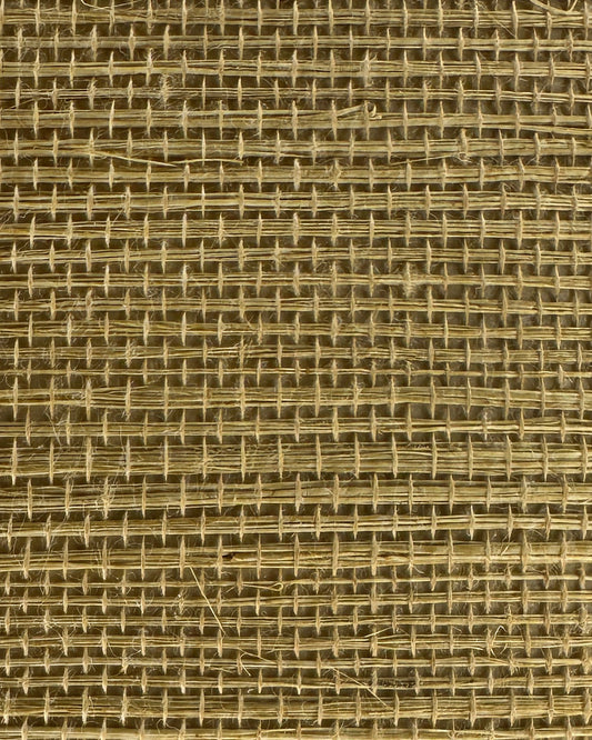Sisal Grasscloth 1197 Curry