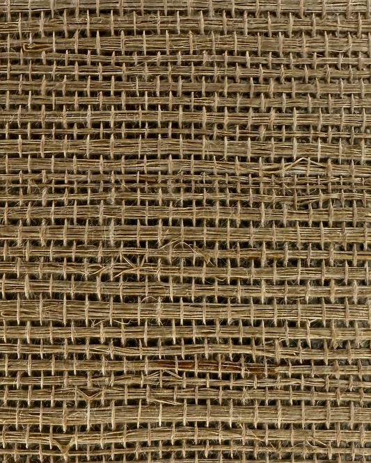 Sisal Grasscloth 2030 Starfish