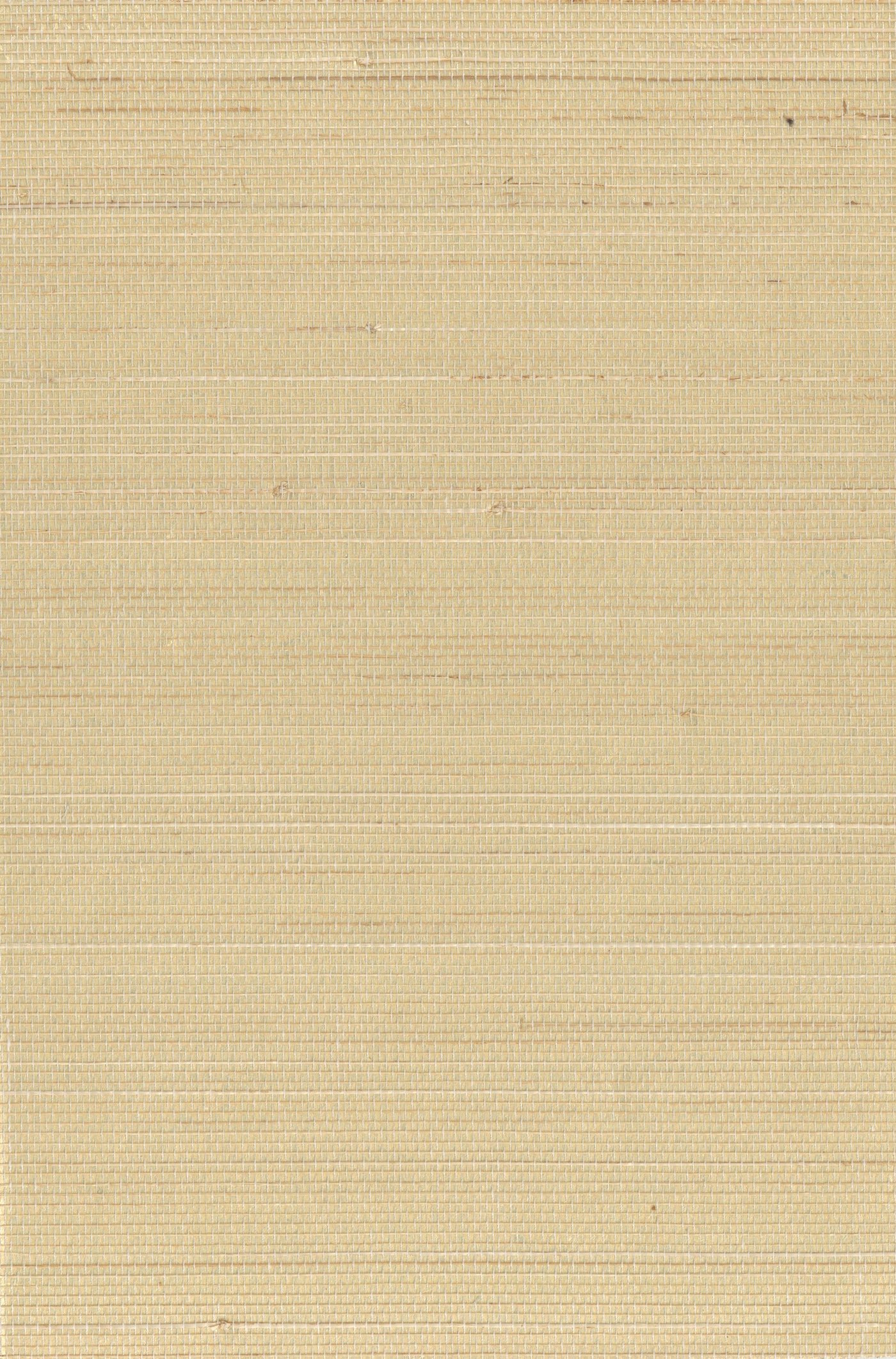 Abaca 0007 natural wallcovering swatch