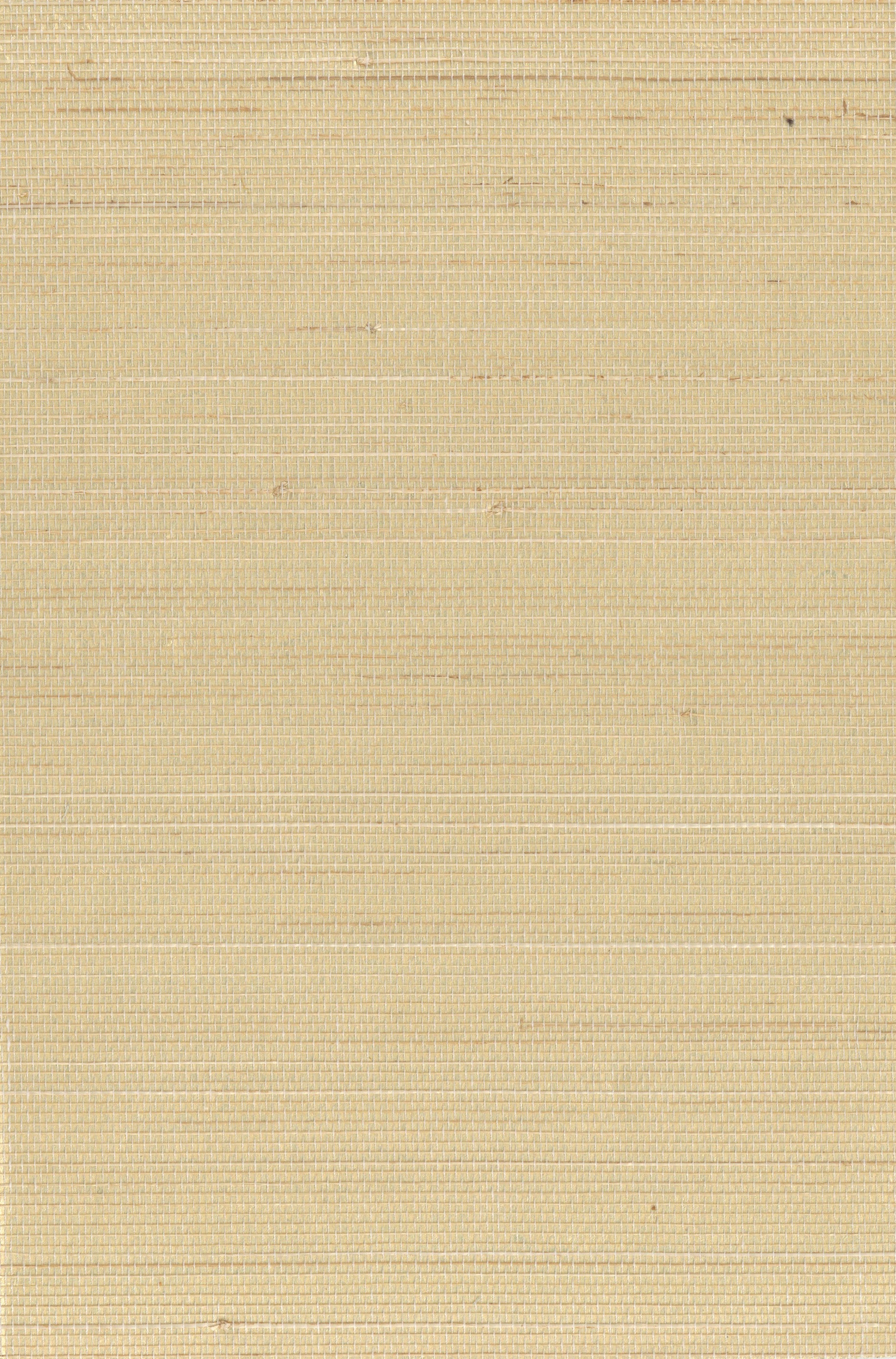 Abaca 0007 natural wallcovering swatch