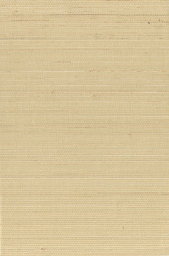 Abaca 0007