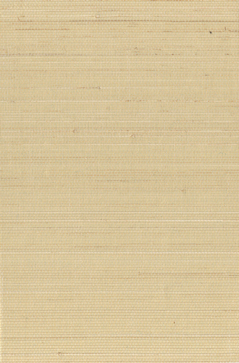 Abaca 0007