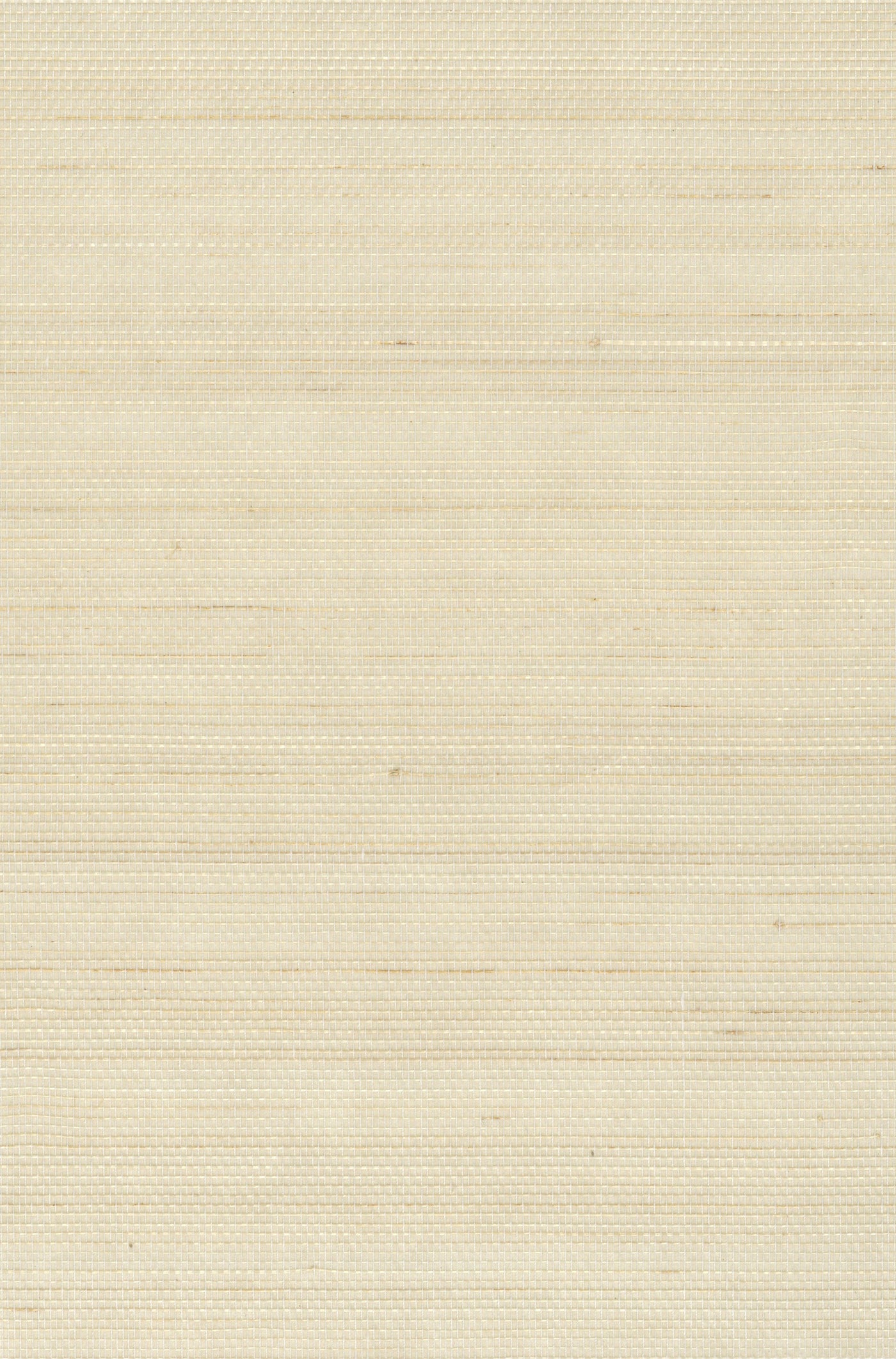 Abaca 0040 natural wallcovering swatch