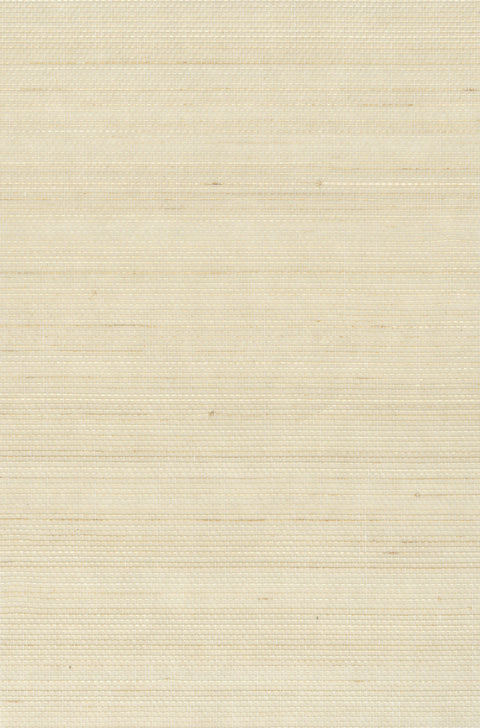 Abaca 0040