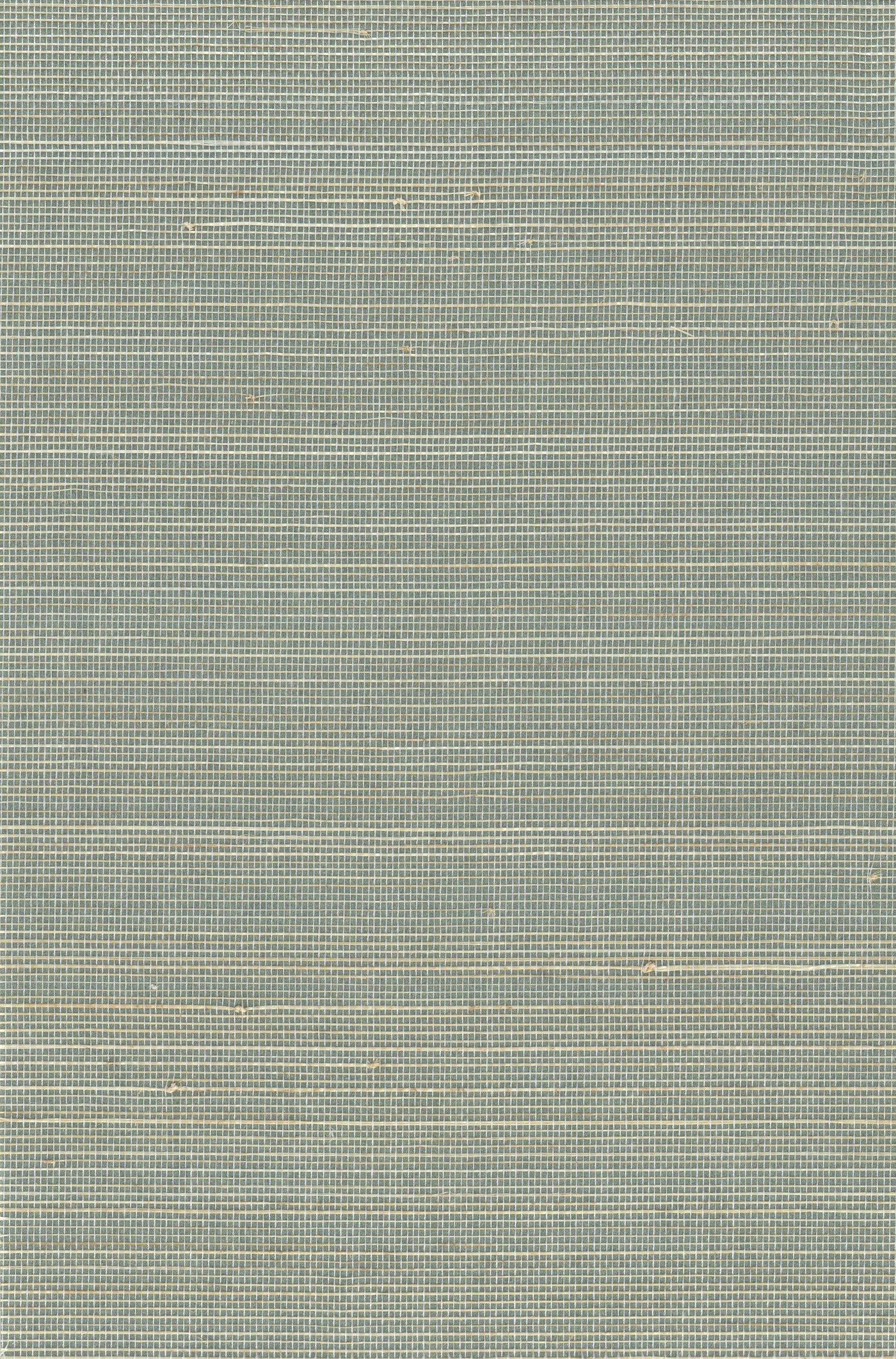 Abaca 0046 Lily Pad natural wallcovering swatch