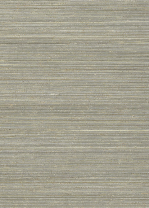 Abaca 0080