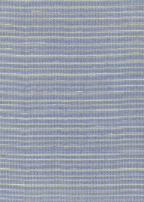 Abaca 0101 Grey&Blue