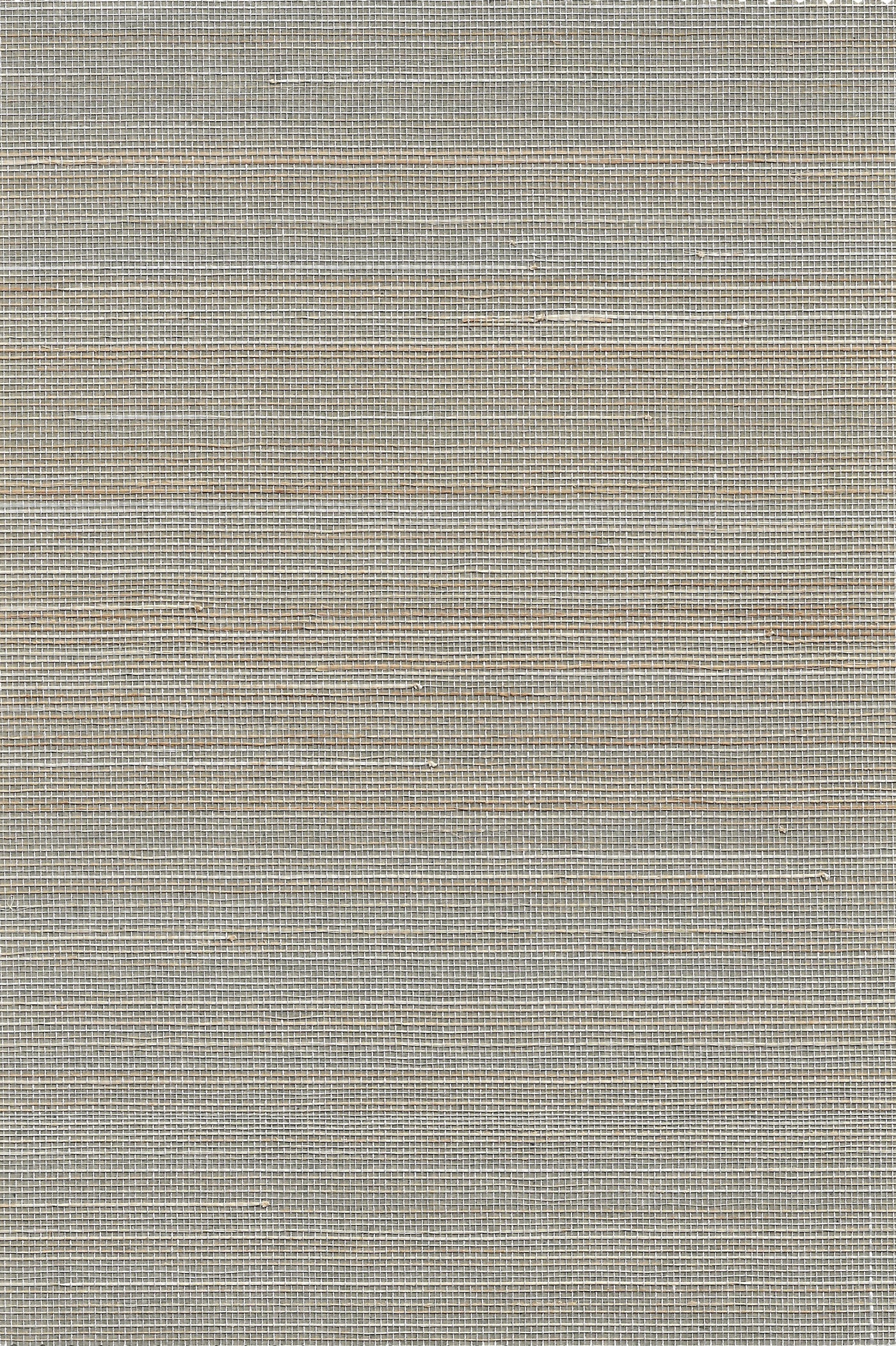 Abaca 0128 Gallant Grey natural wallcovering swatch