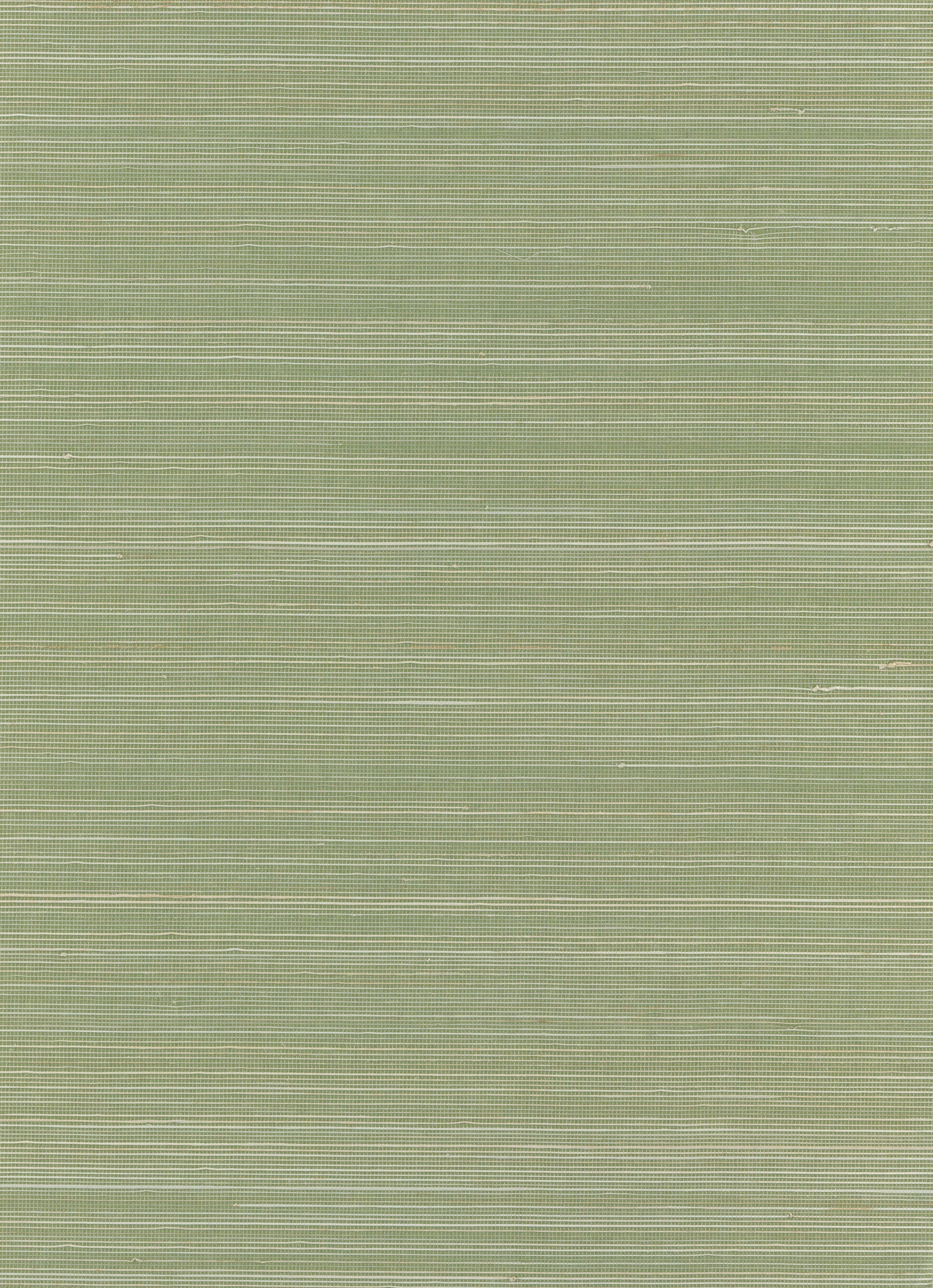Abaca 0130 natural wallcovering swatch