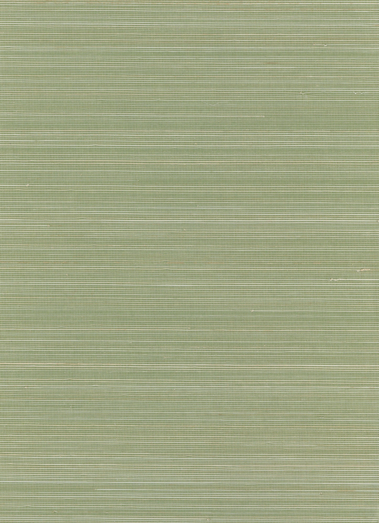 Abaca 0130 natural wallcovering swatch
