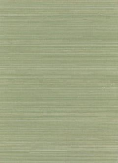 Abaca 0130