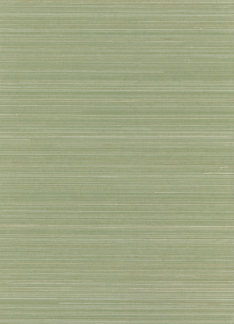 Abaca 0130