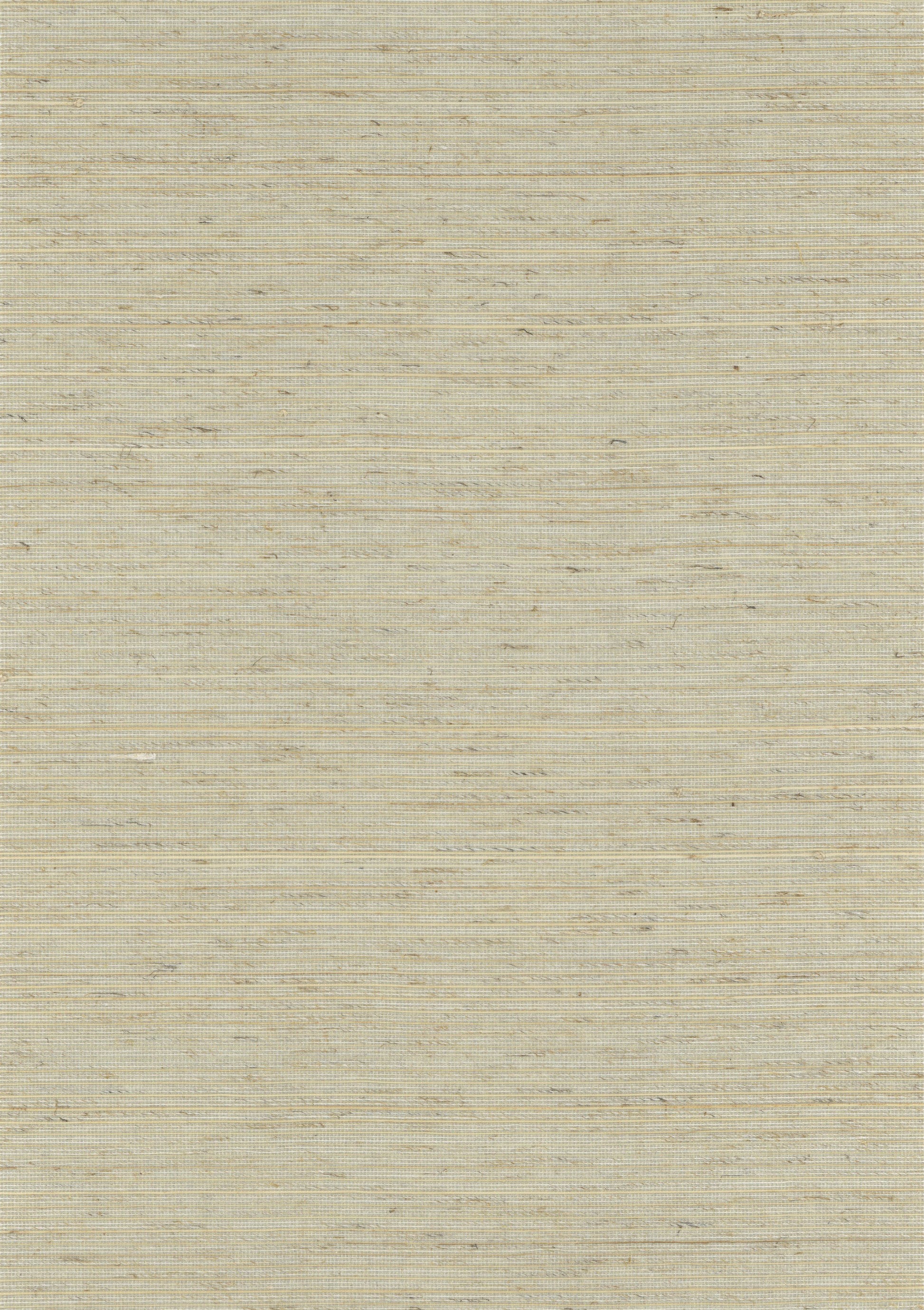 Abaca 2025 natural wallcovering swatch