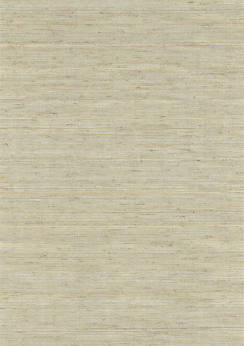 Abaca 2025