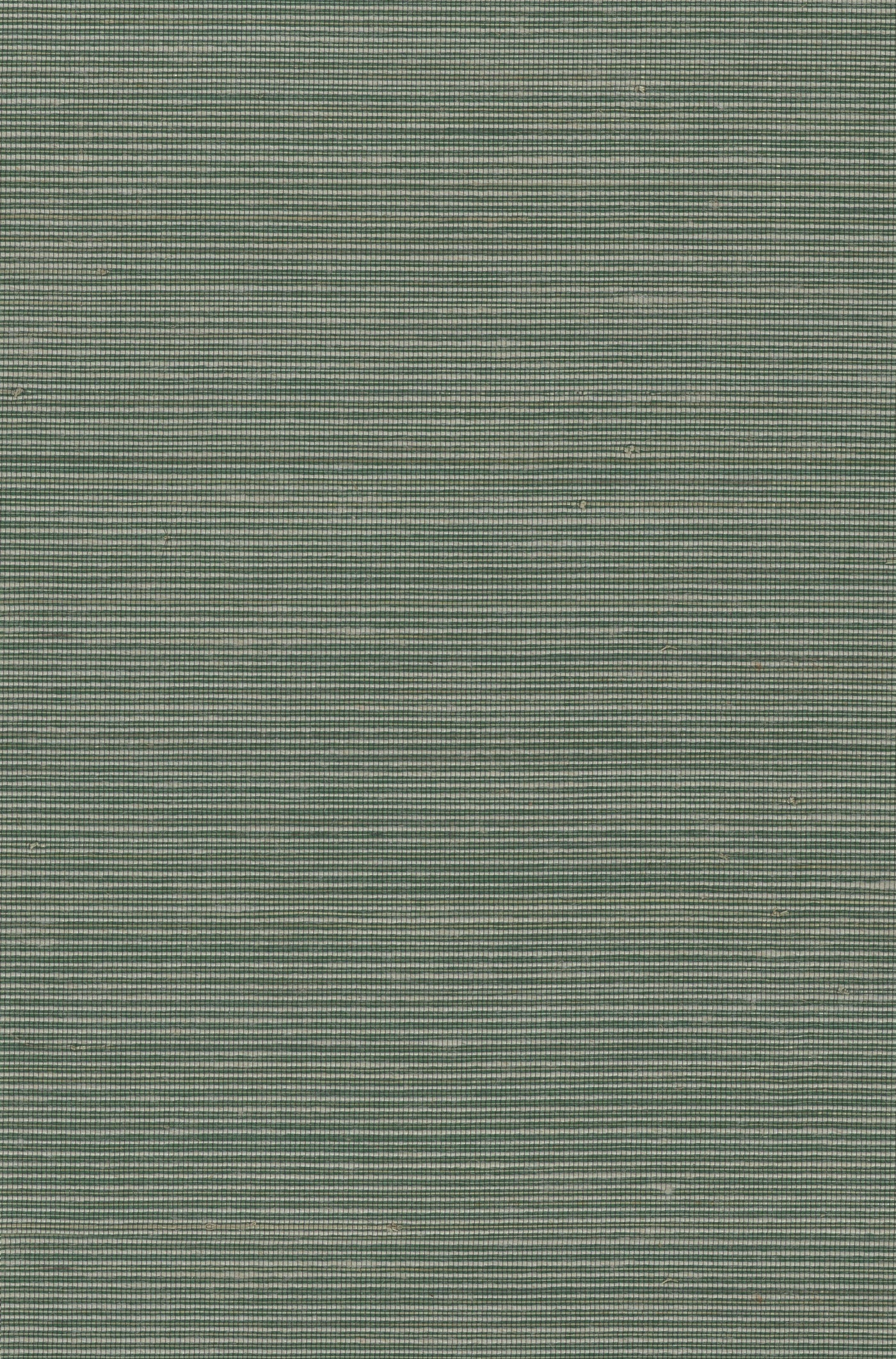 Abaca 2027 natural wallcovering swatch