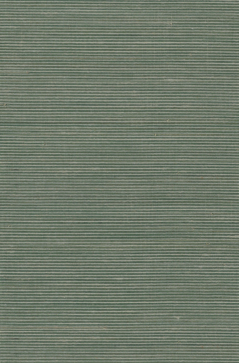 Abaca 2027