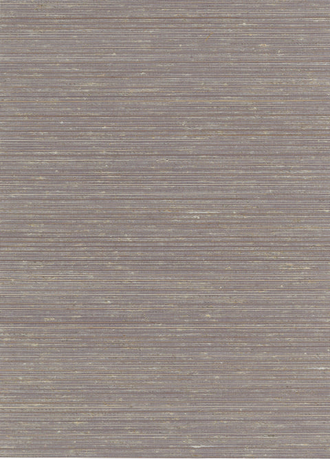 Abaca 2028