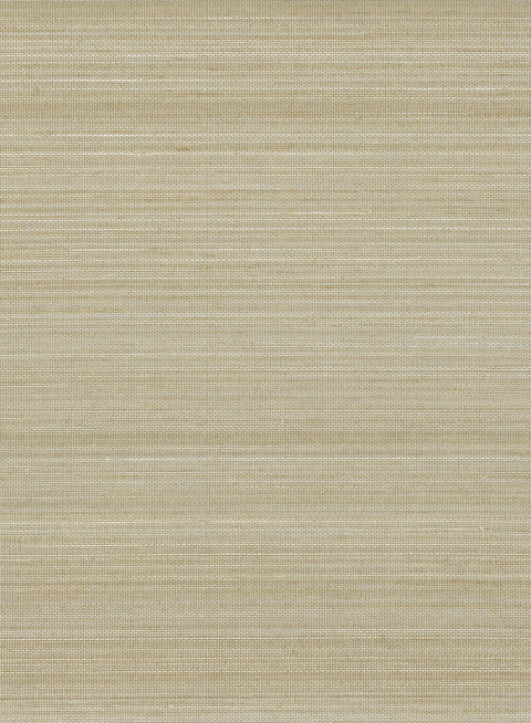 Abaca 2037 Tan