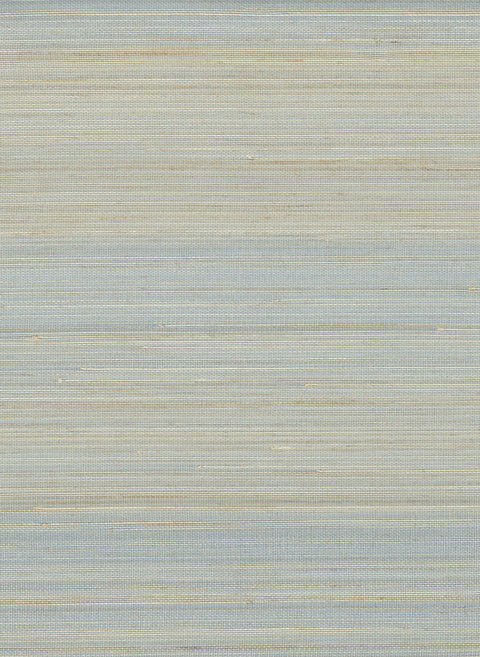 Abaca 2053 Seedling