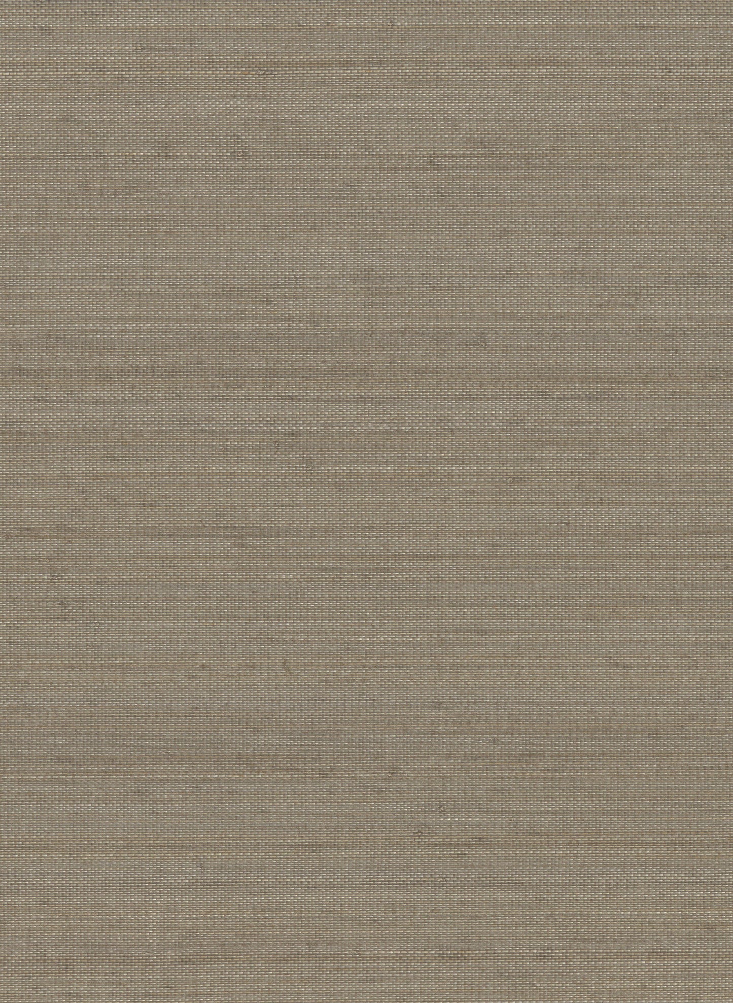 Abaca 2091 Stone Fox natural wallcovering swatch