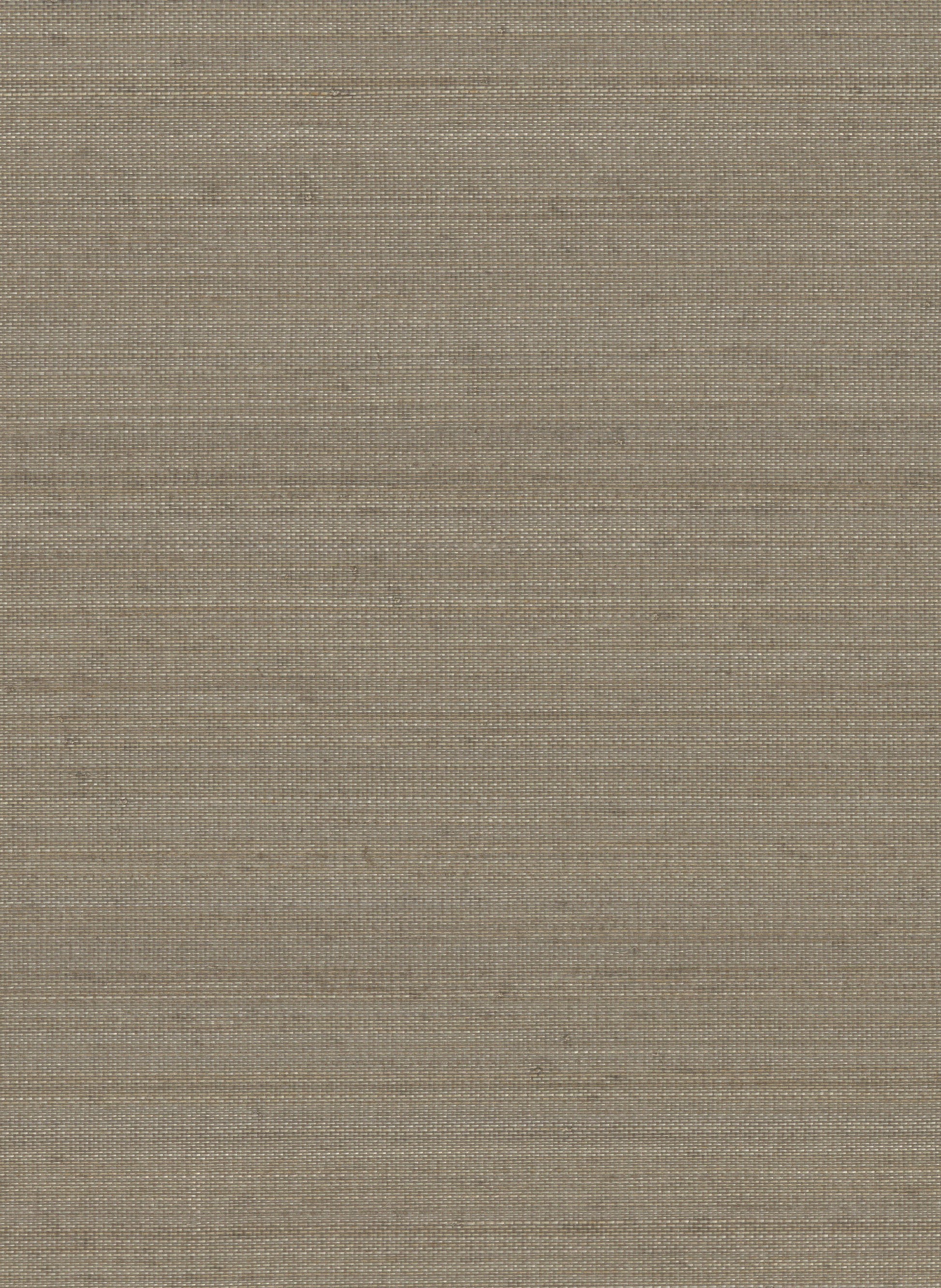 Abaca 2091 Stone Fox natural wallcovering swatch