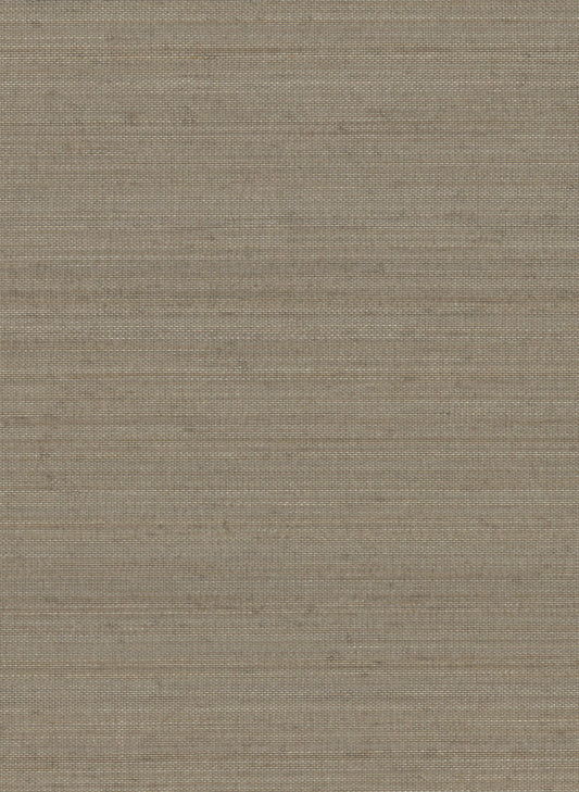 Abaca 2091 Stone Fox natural wallcovering swatch
