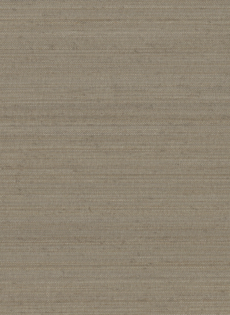 Abaca 2091 Stone Fox natural wallcovering swatch