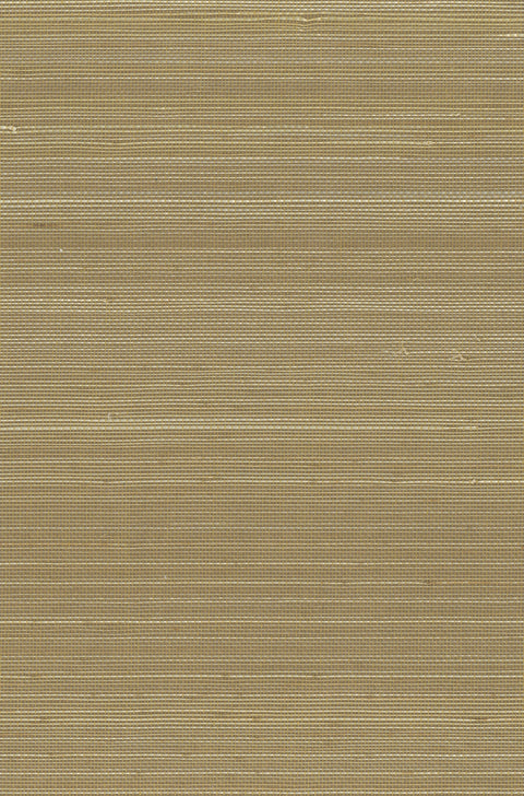 Abaca 6007