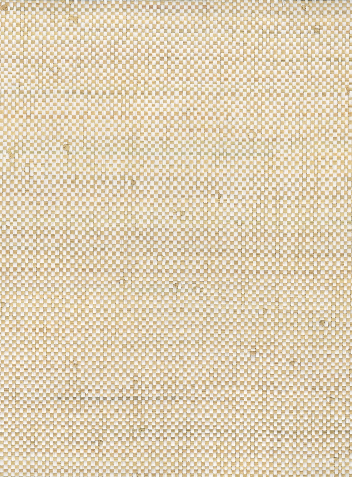 Raffia 5081 natural wallcovering swatch