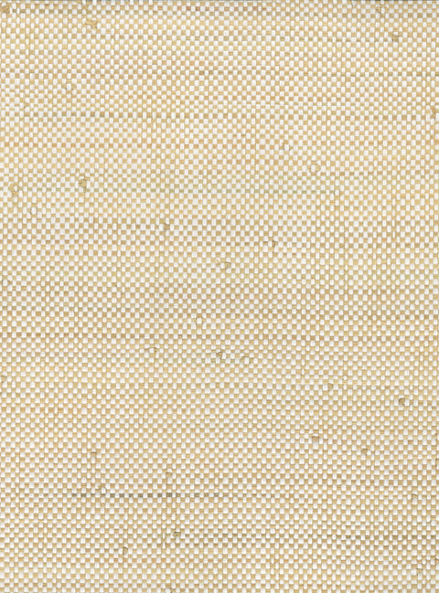 Raffia 5081