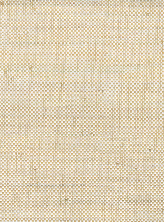 Raffia 5081 natural wallcovering swatch