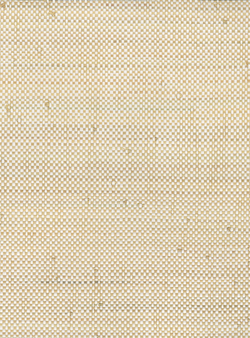 Raffia 5081 natural wallcovering swatch