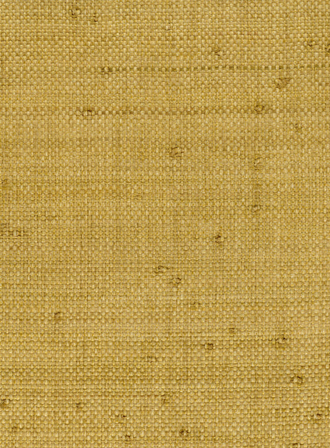 Raffia 5084