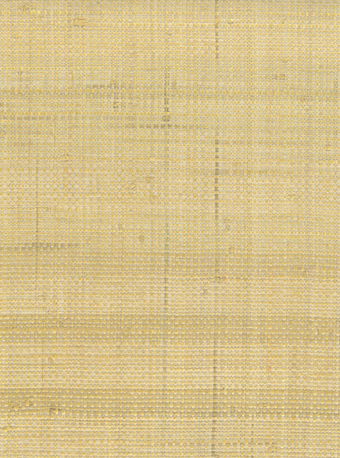 Raffia 5087