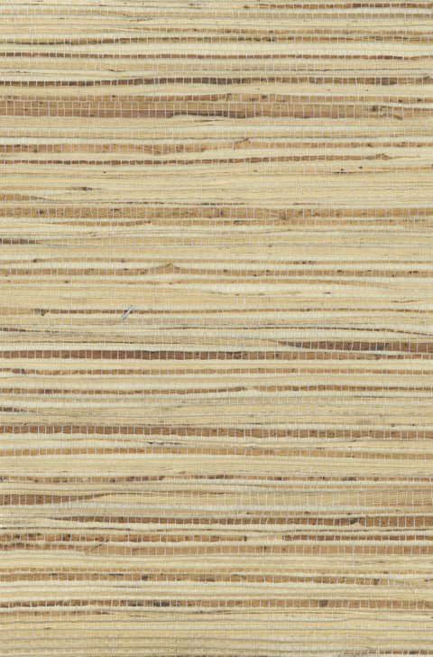 Hemp 1013 Color Online