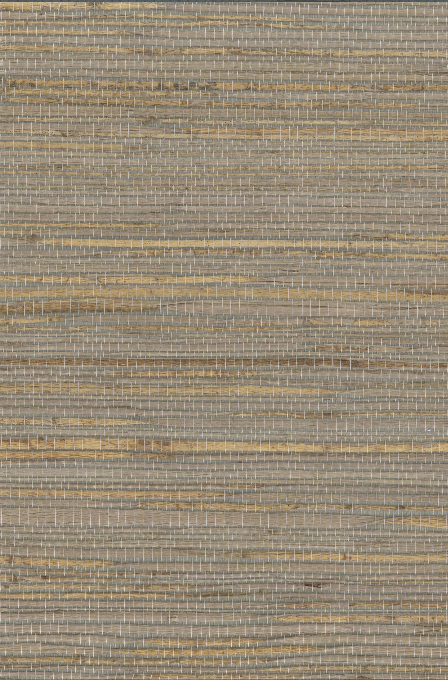 Hemp 1038 Winter Twig natural wallcovering swatch