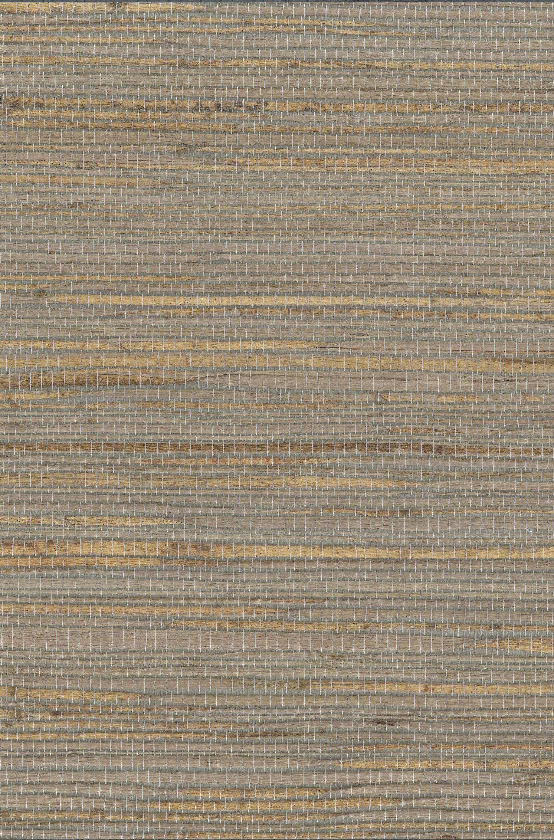 Hemp 1038 Winter Twig natural wallcovering swatch